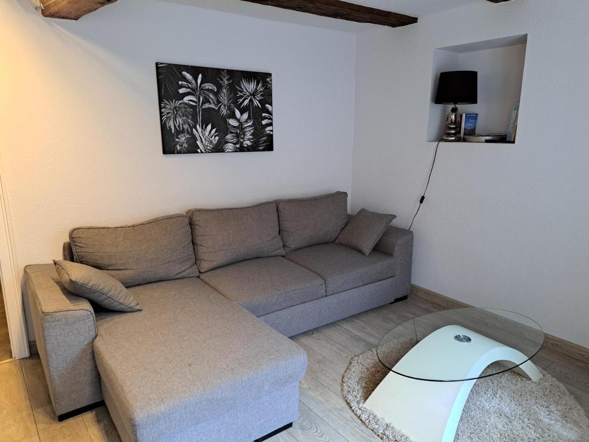 Appartamento Les Colombages Colmar Esterno foto