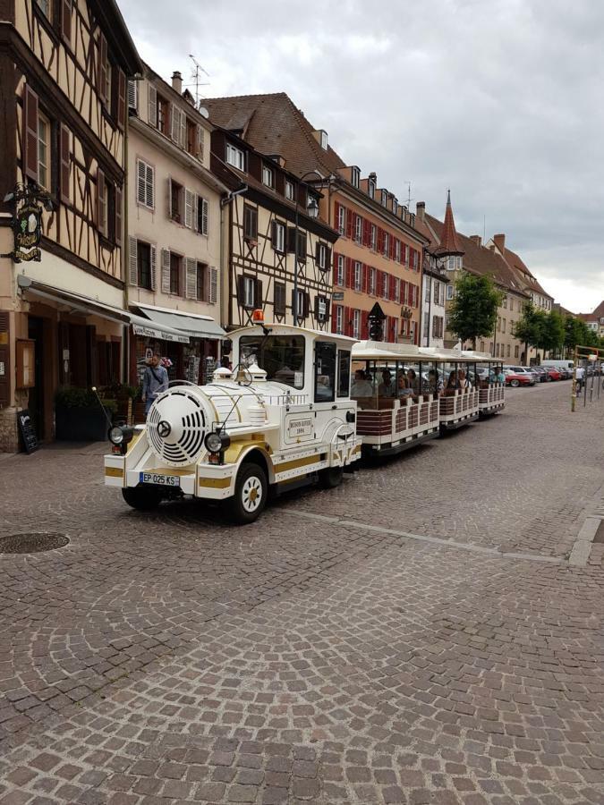 Appartamento Les Colombages Colmar Esterno foto