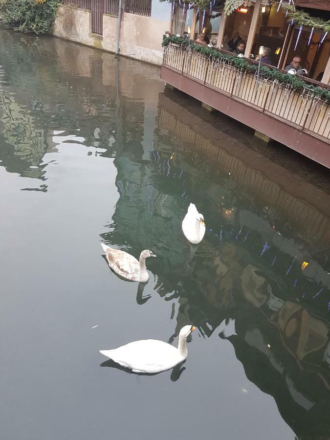 Appartamento Les Colombages Colmar Esterno foto