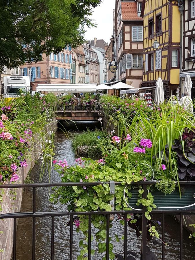 Appartamento Les Colombages Colmar Esterno foto