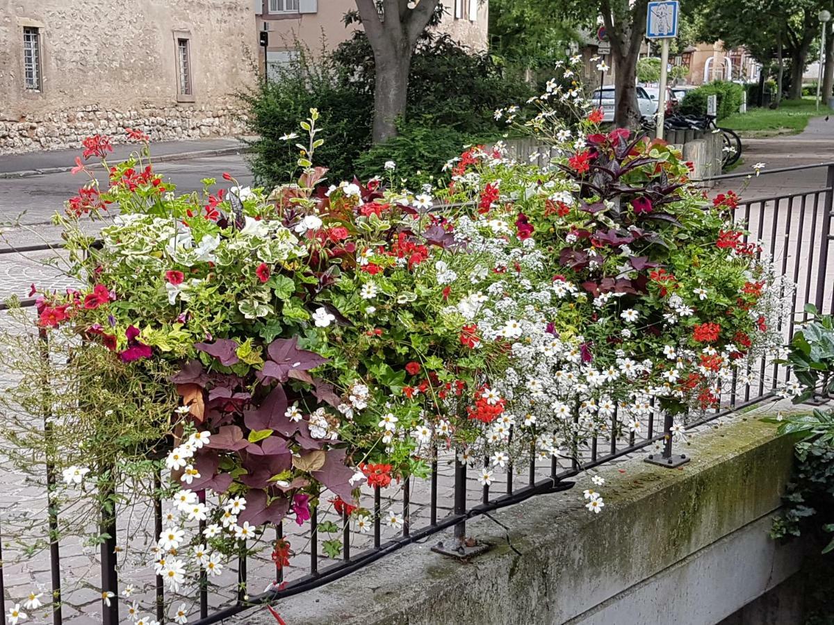 Appartamento Les Colombages Colmar Esterno foto